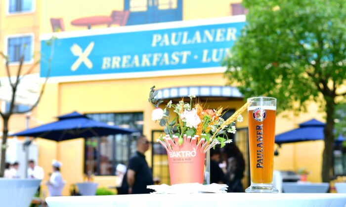 BAKTRO DELI SUPER JINSHAN – 5_3